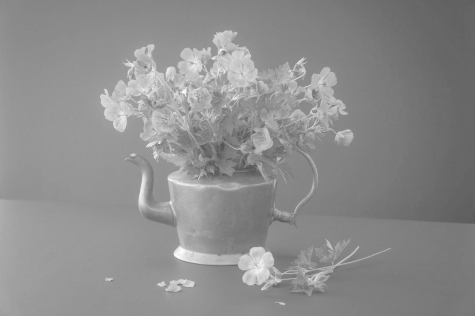 Suasana pembelajaran praktik perawatan bunga di greenhouse